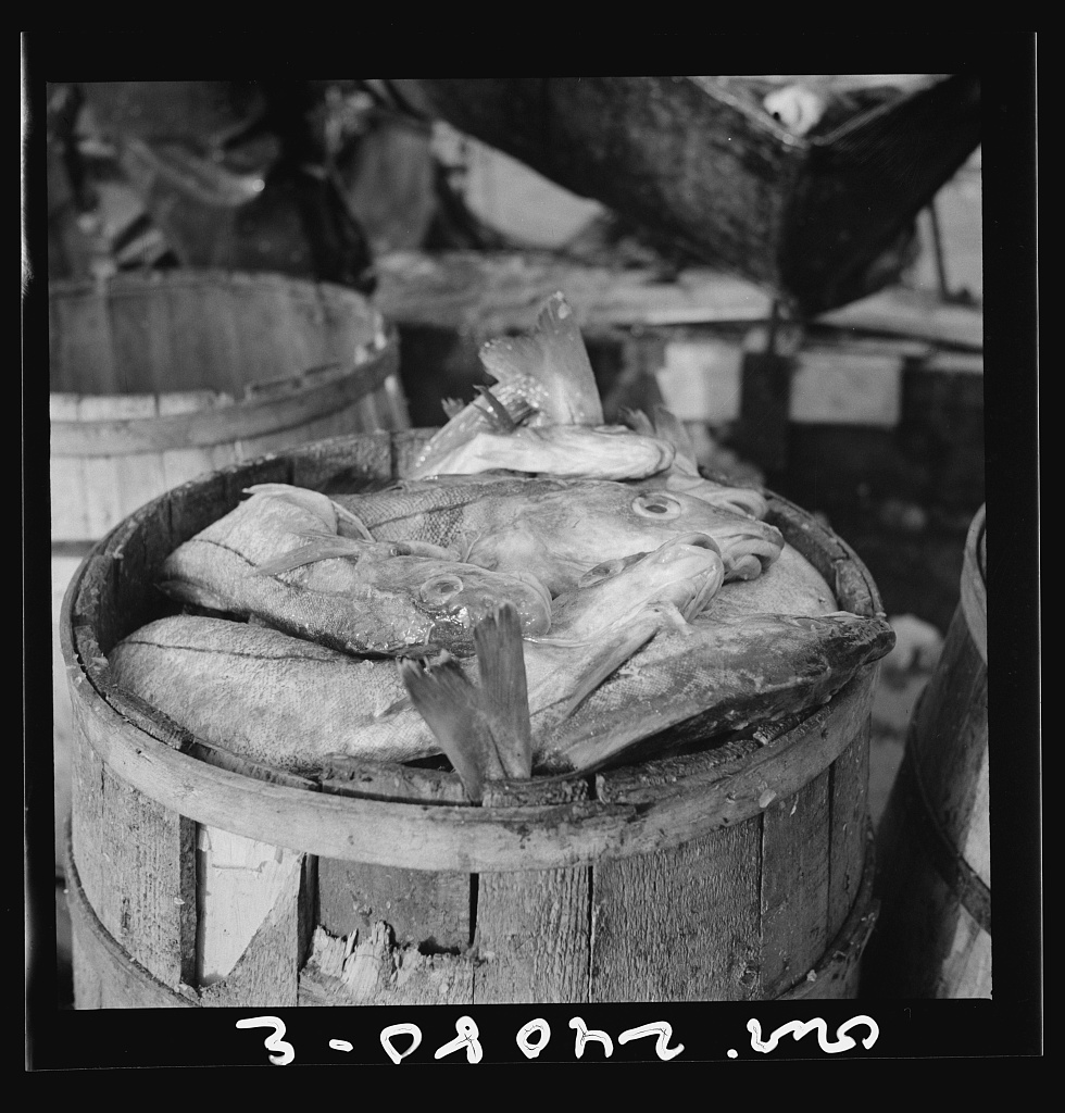 New York, New York. Barrels of codfish