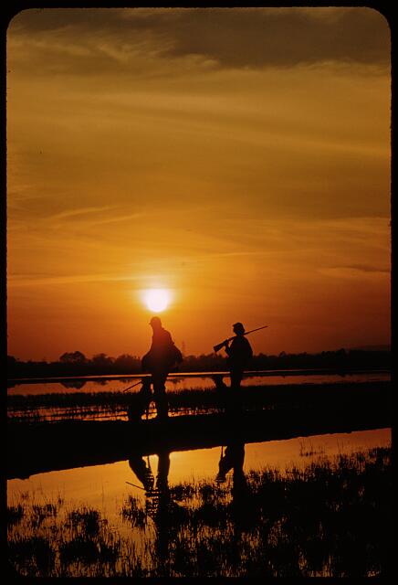 [San Francisco Waterfowl Hunting]
