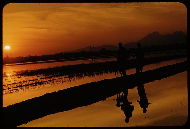 [San Francisco Waterfowl Hunting]