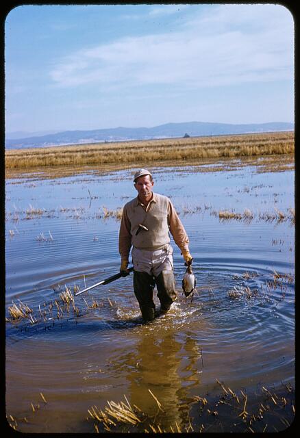 [San Francisco Waterfowl Hunting]