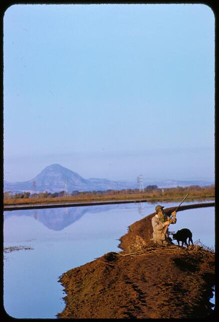 [San Francisco Waterfowl Hunting]