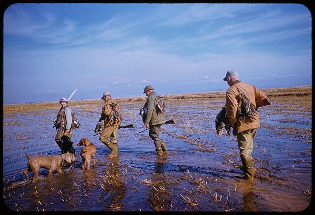 [San Francisco Waterfowl Hunting]
