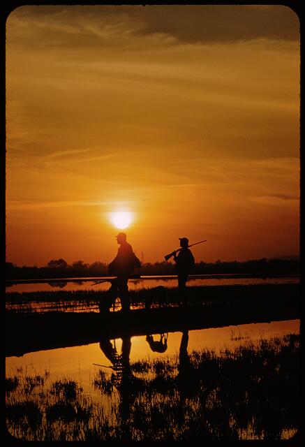 [San Francisco Waterfowl Hunting]