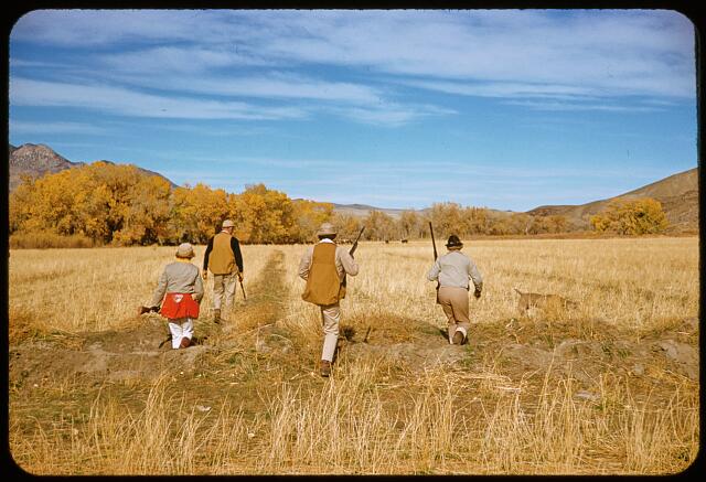 [San Francisco Waterfowl Hunting]