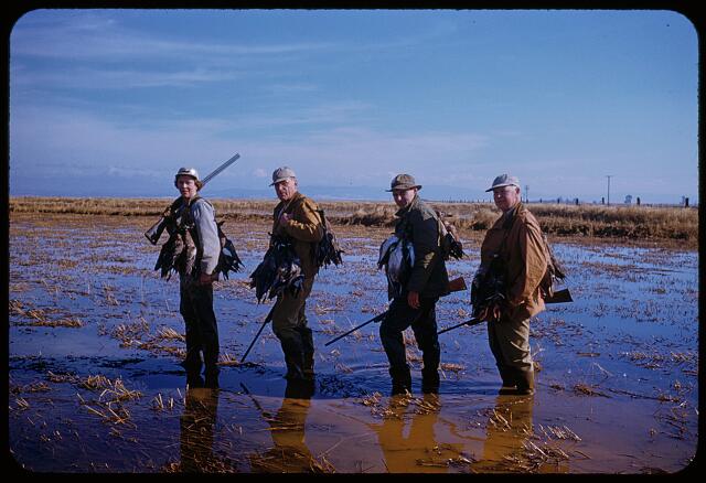 [San Francisco Waterfowl Hunting]
