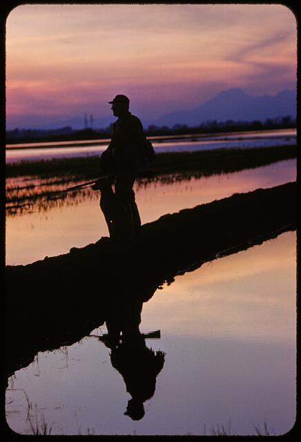 [San Francisco Waterfowl Hunting]