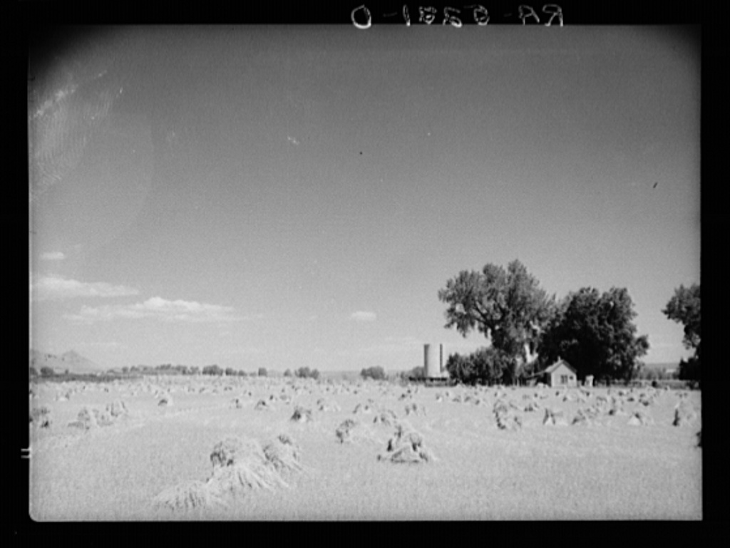 Farm near Denver, Colorado