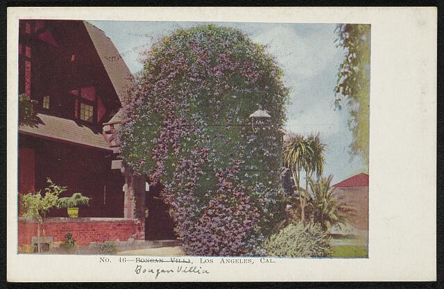 Bougan Villia, Los Angeles, Cal.