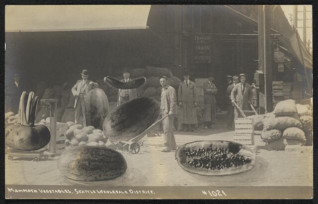 Mammoth vegetables, Seattle Wholesale District