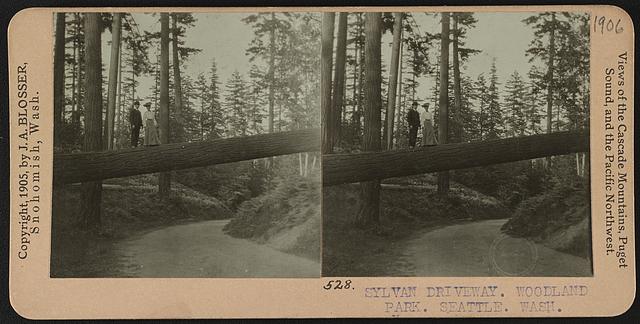 Sylvan driveway. Woodland Park. Seattle, Wash.