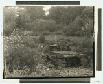 [Mrs. Bartlett's house, Portland, Oregon. Rock garden pool]