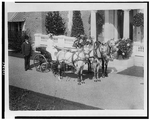 [Small carriage drawn by three horses]