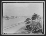 Horse-drawn carriage on road overlooking waterfront