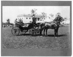 A carriage drawn by two horses