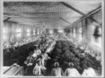 [Workers, mostly women, in tobacco factory, Manila]