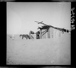 [Untitled photo, possibly related to: Cimarron County, Oklahoma. April, 1936. Dust Bowl]