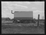 Dust bowl refugees living in camps in California