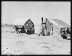 Home of a dust bowl refugee in California. Imperial County