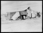 Home of a dust bowl refugee in California. Imperial County