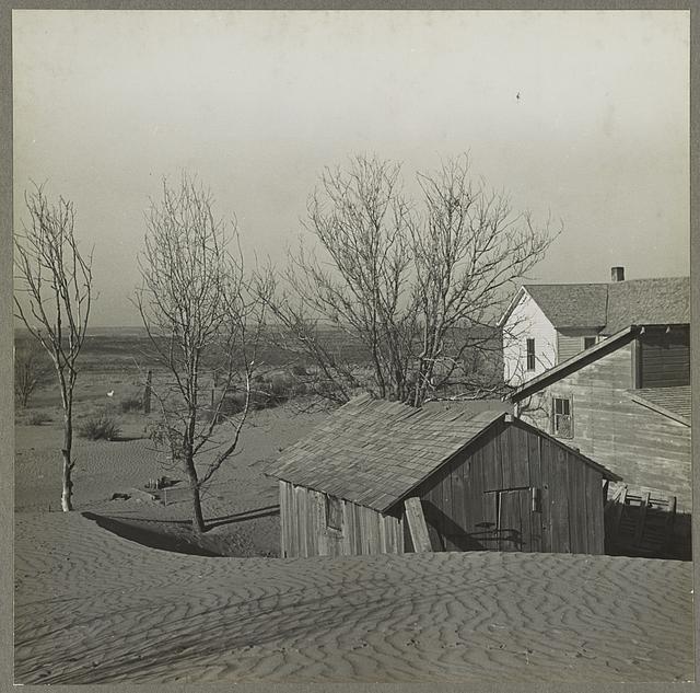 Liberal (vicinity), Kan. Soil blown by dust bowl winds piled up in large drifts on a farm