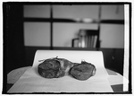 Prohibition Unit (Cow Shoes), 6/28/24