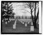 World War section, Arlington