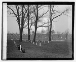 World War section, Arlington