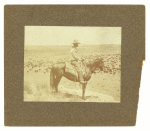 A Texas cowboy