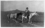 Cowboy looking for a job